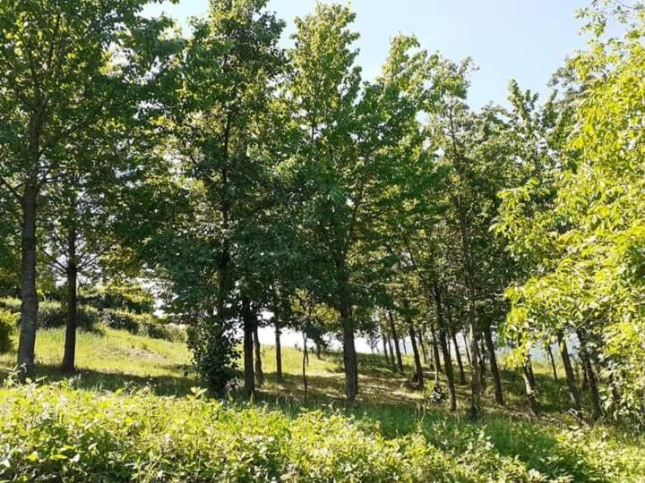 Ferienwohnung Ai Boschi Ozzano dell’Emilia Exterior foto