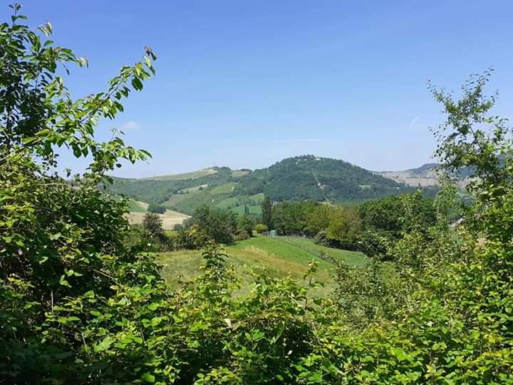 Ferienwohnung Ai Boschi Ozzano dell’Emilia Exterior foto
